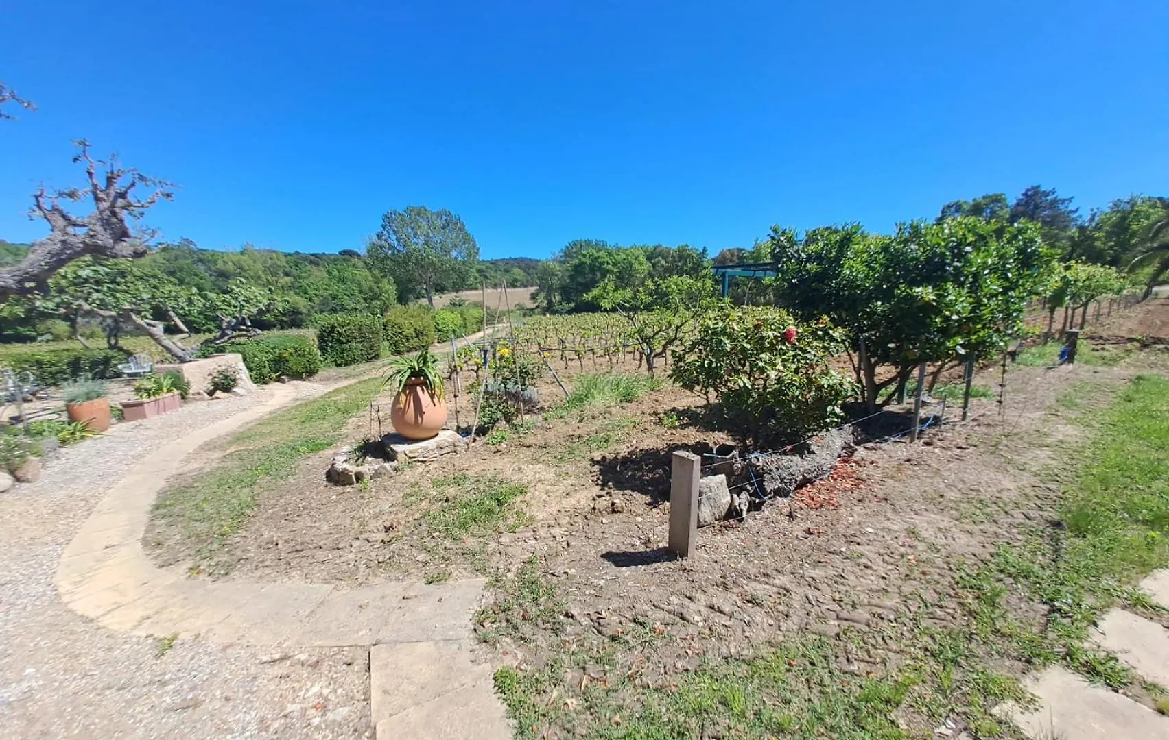 La Rouillere 2 - Authenticite Maison 4 Pers En Bord De Ruisseau Au Coeur Des Vignes Ramatuelle 0*,