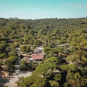 Ladouceur Camping
